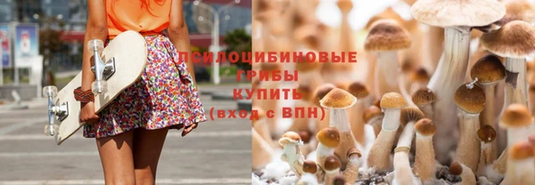 винт Аркадак